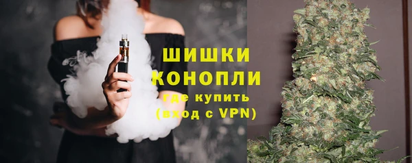 ПСИЛОЦИБИНОВЫЕ ГРИБЫ Горняк