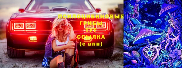 ГАЛЛЮЦИНОГЕННЫЕ ГРИБЫ Аркадак